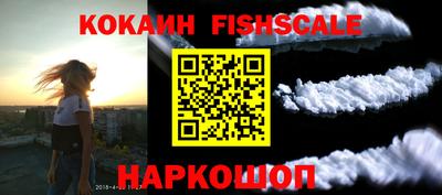 дмт Гатчина