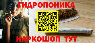 дмт Гатчина