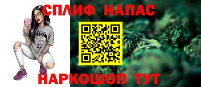 дмт Гатчина